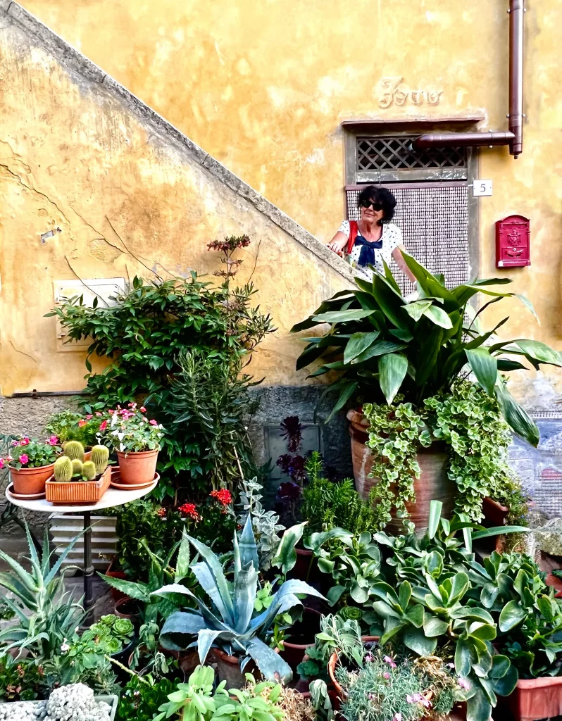 a lady in the background siting for a photo, with many different plans in pots in front of her