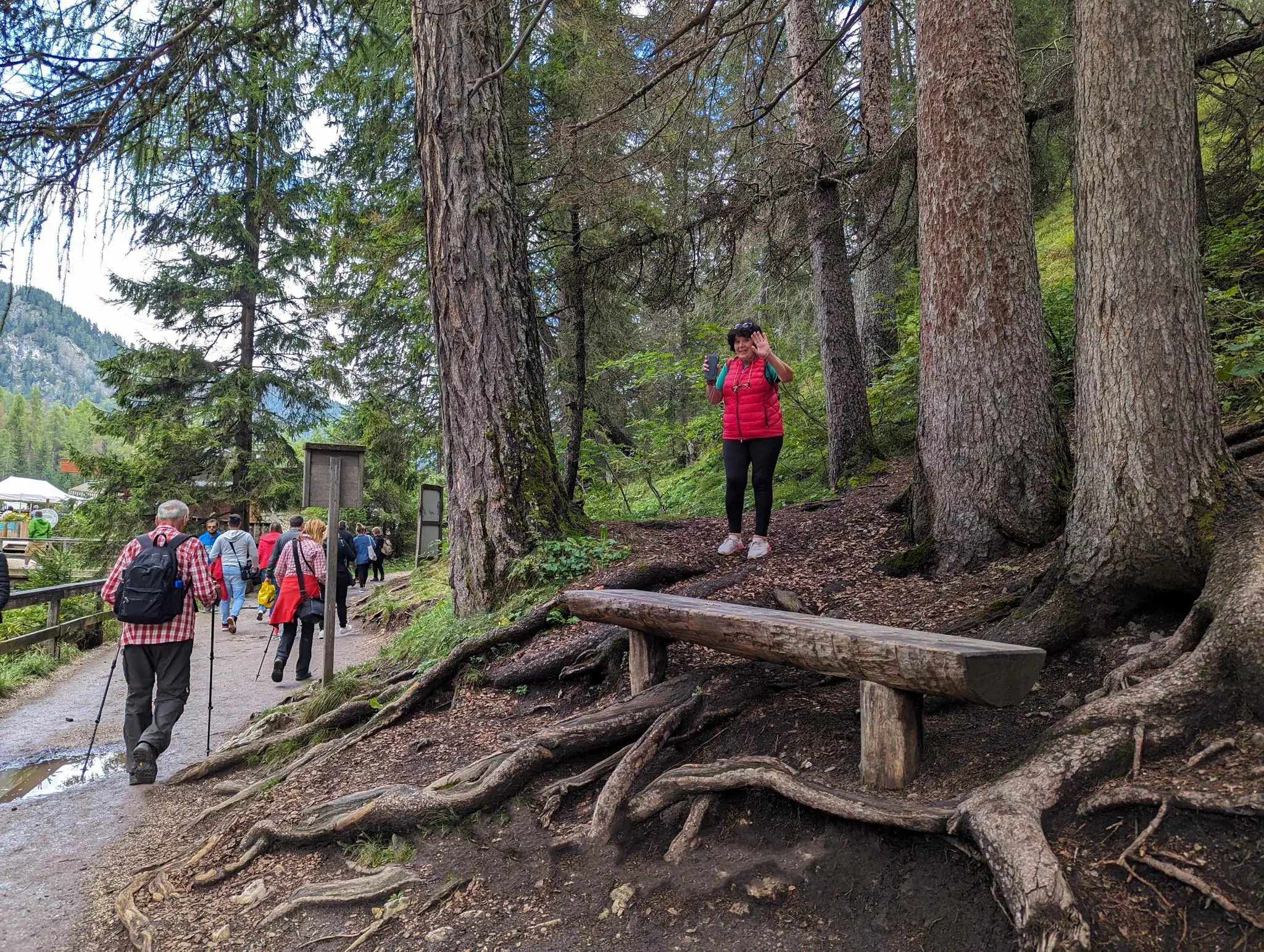 a walking trail with people walking, a person waving her hand to the camera from a wood area