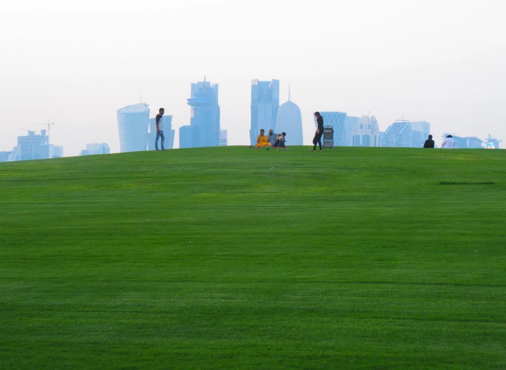 people playing on a grassy area, with the skyscrapers in the far background