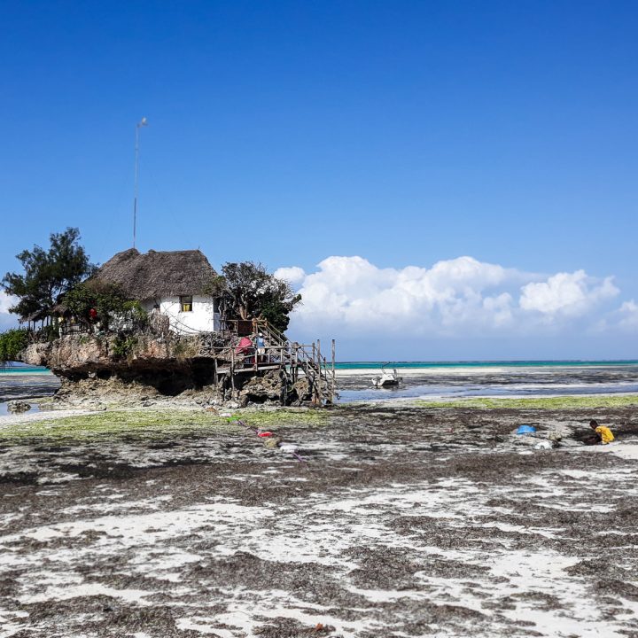 In its unique position in / on the waters of the Indian Ocean, The Rock is a charming, exclusive restaurant that in a very short time has become one of the icons of this exotic island.